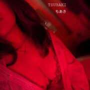 ヒメ日記 2026/06/08 23:51 投稿 ちあき TSUBAKI(ツバキ)