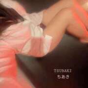 ヒメ日記 2026/08/22 08:52 投稿 ちあき TSUBAKI(ツバキ)