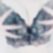 ヒメ日記 2025/08/24 13:06 投稿 日奈子(ひなこ) エクレア上野御徒町　天然貴姉乳舐手淫店