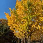 ヒメ日記 2025/09/30 15:18 投稿 あず未 Arrest（アレスト）