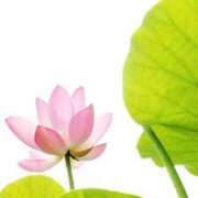 ヒメ日記 2025/05/25 07:03 投稿 ひとみ経験豊富な美熟主婦 熟女パラダイス岐阜店（カサブランカグループ）