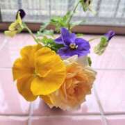 ヒメ日記 2025/05/31 21:47 投稿 ひとみ経験豊富な美熟主婦 熟女パラダイス岐阜店（カサブランカグループ）