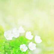 ヒメ日記 2025/06/05 10:55 投稿 ひとみ経験豊富な美熟主婦 熟女パラダイス岐阜店（カサブランカグループ）