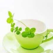 ヒメ日記 2025/06/07 10:53 投稿 ひとみ経験豊富な美熟主婦 熟女パラダイス岐阜店（カサブランカグループ）