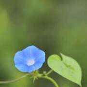 ヒメ日記 2025/06/22 12:43 投稿 ひとみ経験豊富な美熟主婦 熟女パラダイス岐阜店（カサブランカグループ）