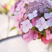 ヒメ日記 2025/06/27 11:11 投稿 ひとみ経験豊富な美熟主婦 熟女パラダイス岐阜店（カサブランカグループ）