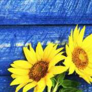 ヒメ日記 2025/07/11 11:05 投稿 ひとみ経験豊富な美熟主婦 熟女パラダイス岐阜店（カサブランカグループ）