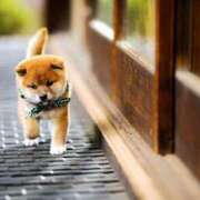 ヒメ日記 2025/07/27 11:17 投稿 ひとみ経験豊富な美熟主婦 熟女パラダイス岐阜店（カサブランカグループ）