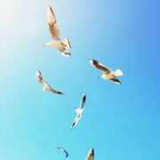 ヒメ日記 2025/07/28 11:31 投稿 ひとみ経験豊富な美熟主婦 熟女パラダイス岐阜店（カサブランカグループ）