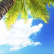 ヒメ日記 2025/08/01 11:24 投稿 ひとみ経験豊富な美熟主婦 熟女パラダイス岐阜店（カサブランカグループ）