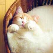 ヒメ日記 2025/08/10 14:17 投稿 ひとみ経験豊富な美熟主婦 熟女パラダイス岐阜店（カサブランカグループ）