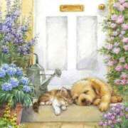 ヒメ日記 2025/08/15 11:31 投稿 ひとみ経験豊富な美熟主婦 熟女パラダイス岐阜店（カサブランカグループ）