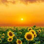 ヒメ日記 2025/08/30 13:28 投稿 ひとみ経験豊富な美熟主婦 熟女パラダイス岐阜店（カサブランカグループ）