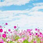 ヒメ日記 2025/09/07 11:05 投稿 ひとみ経験豊富な美熟主婦 熟女パラダイス岐阜店（カサブランカグループ）