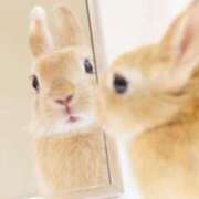 ヒメ日記 2025/09/09 10:17 投稿 ひとみ経験豊富な美熟主婦 熟女パラダイス岐阜店（カサブランカグループ）