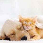 ヒメ日記 2025/09/17 11:03 投稿 ひとみ経験豊富な美熟主婦 熟女パラダイス岐阜店（カサブランカグループ）