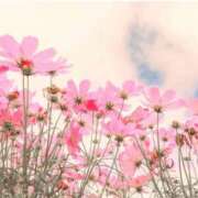 ヒメ日記 2025/09/20 14:32 投稿 ひとみ経験豊富な美熟主婦 熟女パラダイス岐阜店（カサブランカグループ）