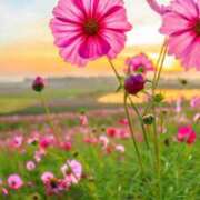 ヒメ日記 2025/09/21 10:27 投稿 ひとみ経験豊富な美熟主婦 熟女パラダイス岐阜店（カサブランカグループ）