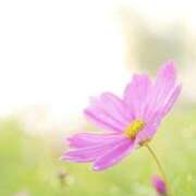 ヒメ日記 2025/09/23 11:25 投稿 ひとみ経験豊富な美熟主婦 熟女パラダイス岐阜店（カサブランカグループ）