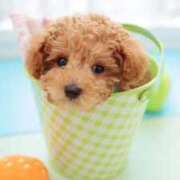 ヒメ日記 2025/10/11 08:32 投稿 ひとみ経験豊富な美熟主婦 熟女パラダイス岐阜店（カサブランカグループ）