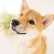 ヒメ日記 2025/10/25 14:37 投稿 ひとみ経験豊富な美熟主婦 熟女パラダイス岐阜店（カサブランカグループ）