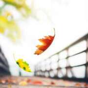 ヒメ日記 2025/10/28 11:39 投稿 ひとみ経験豊富な美熟主婦 熟女パラダイス岐阜店（カサブランカグループ）