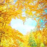 ヒメ日記 2025/11/08 12:23 投稿 ひとみ経験豊富な美熟主婦 熟女パラダイス岐阜店（カサブランカグループ）