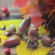 ヒメ日記 2025/11/19 06:21 投稿 ひとみ経験豊富な美熟主婦 熟女パラダイス岐阜店（カサブランカグループ）