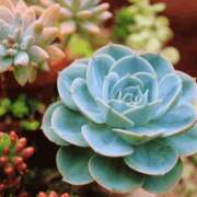 ヒメ日記 2025/11/23 10:43 投稿 ひとみ経験豊富な美熟主婦 熟女パラダイス岐阜店（カサブランカグループ）