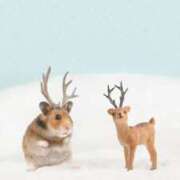 ひとみ経験豊富な美熟主婦 こんにちは? 熟女パラダイス岐阜店（カサブランカグループ）