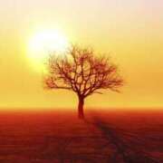 ヒメ日記 2025/12/30 09:51 投稿 ひとみ経験豊富な美熟主婦 熟女パラダイス岐阜店（カサブランカグループ）