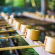 ヒメ日記 2026/01/08 11:22 投稿 ひとみ経験豊富な美熟主婦 熟女パラダイス岐阜店（カサブランカグループ）