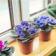 ヒメ日記 2026/01/21 12:23 投稿 ひとみ経験豊富な美熟主婦 熟女パラダイス岐阜店（カサブランカグループ）