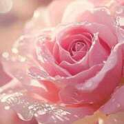 ヒメ日記 2026/01/30 11:00 投稿 ひとみ経験豊富な美熟主婦 熟女パラダイス岐阜店（カサブランカグループ）