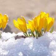 ヒメ日記 2026/02/05 11:03 投稿 ひとみ経験豊富な美熟主婦 熟女パラダイス岐阜店（カサブランカグループ）