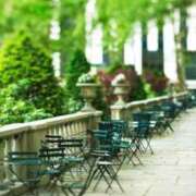 ヒメ日記 2026/02/12 11:08 投稿 ひとみ経験豊富な美熟主婦 熟女パラダイス岐阜店（カサブランカグループ）