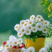 ひとみ経験豊富な美熟主婦 こんにちは? 熟女パラダイス岐阜店（カサブランカグループ）