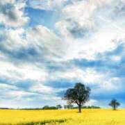 ひとみ経験豊富な美熟主婦 こんにちは? 熟女パラダイス岐阜店（カサブランカグループ）