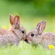 ヒメ日記 2026/03/06 12:23 投稿 ひとみ経験豊富な美熟主婦 熟女パラダイス岐阜店（カサブランカグループ）