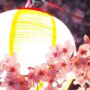 ヒメ日記 2026/03/31 11:16 投稿 ひとみ経験豊富な美熟主婦 熟女パラダイス岐阜店（カサブランカグループ）