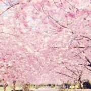 ヒメ日記 2026/04/02 13:20 投稿 ひとみ経験豊富な美熟主婦 熟女パラダイス岐阜店（カサブランカグループ）