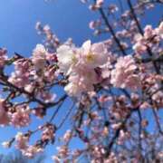 ヒメ日記 2026/03/06 06:32 投稿 夢乃つづき（新人割引） ウルトラグレイス24