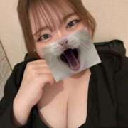 ヒメ日記 2025/05/20 00:02 投稿 める 八尾藤井寺羽曳野ちゃんこ