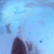 ヒメ日記 2025/06/19 03:28 投稿 らいち 密着指導！バカンス学園 尼崎校