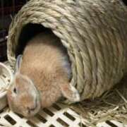 ヒメ日記 2025/07/05 11:17 投稿 せいら Felice(フェリス)