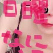 ヒメ日記 2025/08/03 11:23 投稿 せいら Felice(フェリス)