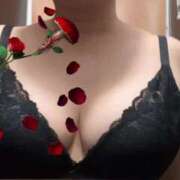 ヒメ日記 2025/05/24 13:13 投稿 よぞら 新横浜ちゃんこ