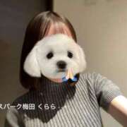 ヒメ日記 2026/01/15 20:34 投稿 くらら スパーク梅田店