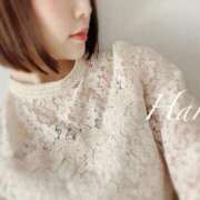 ヒメ日記 2025/05/19 10:15 投稿 はる 五反田人妻ヒットパレード（シンデレラグループ）