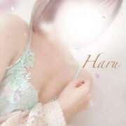 ヒメ日記 2025/05/20 14:45 投稿 はる 五反田人妻ヒットパレード（シンデレラグループ）